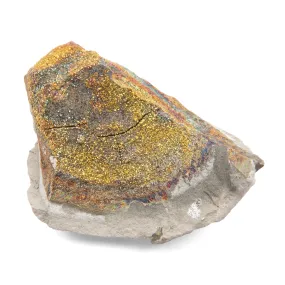 Rainbow Pyrite