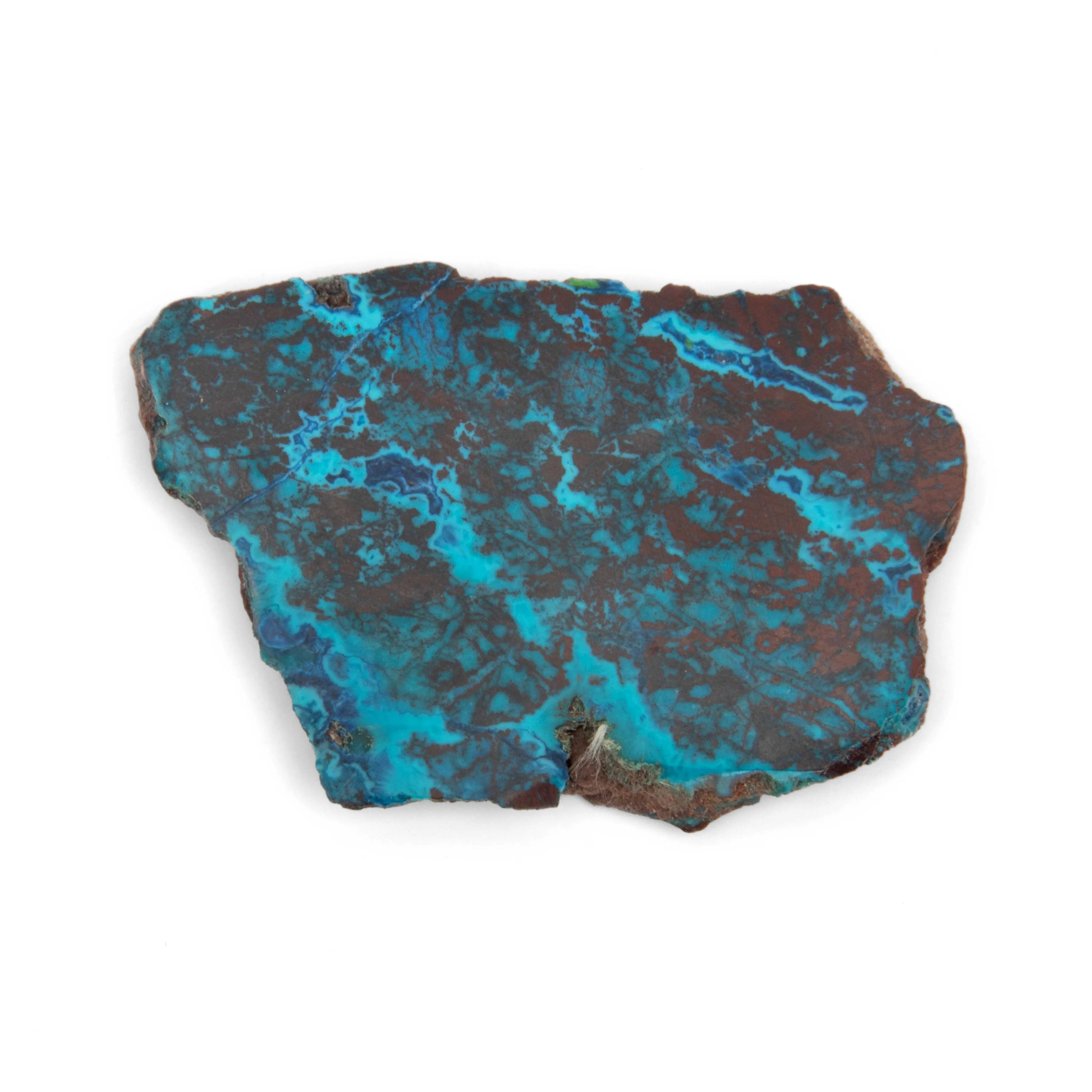 Shattuckite w/ Chrysocolla - Slab