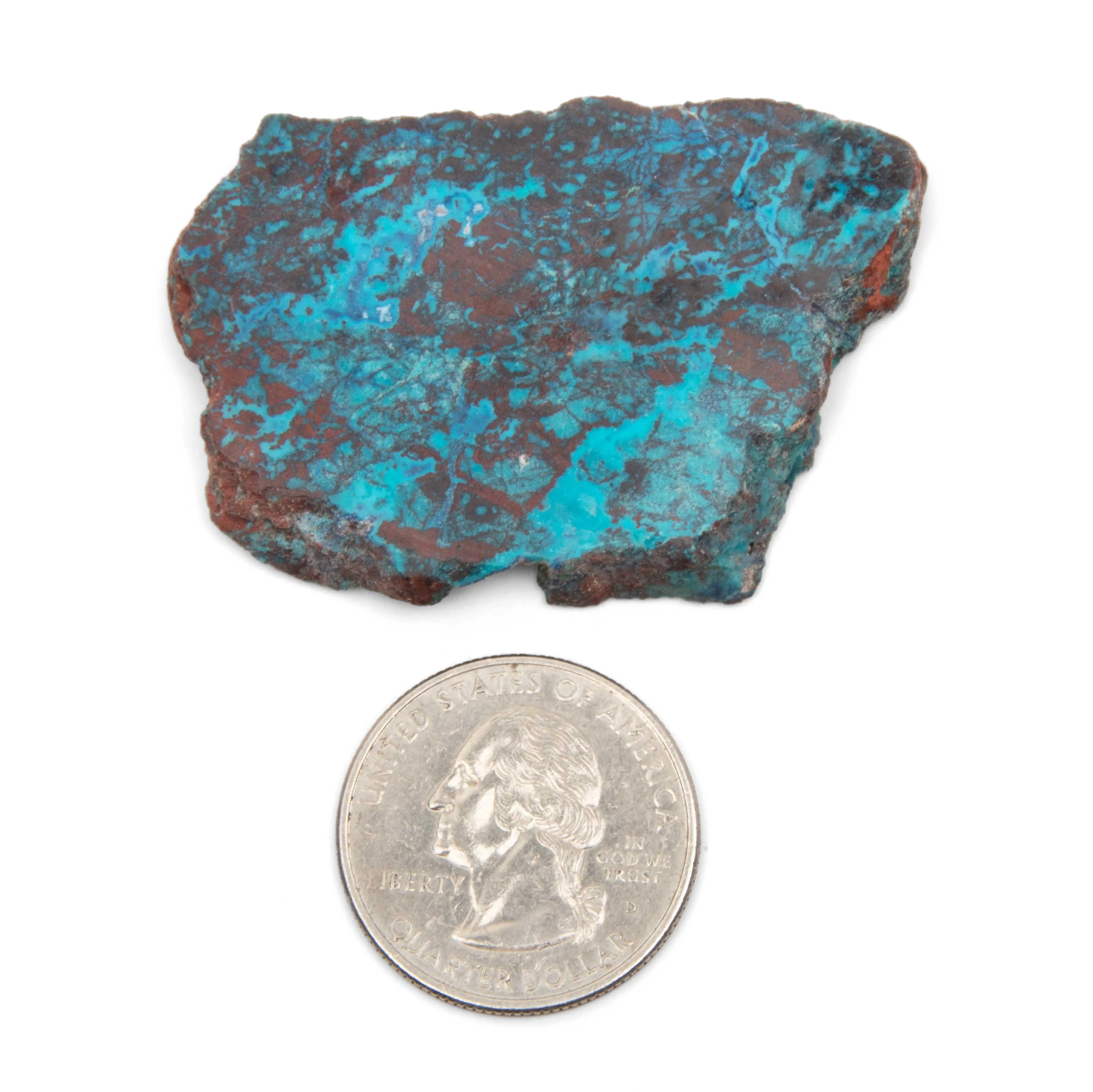 Shattuckite w/ Chrysocolla - Slab